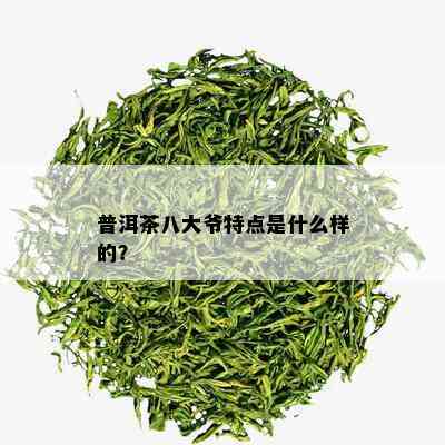 普洱茶八大爷特点是什么样的？