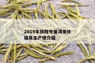 2019年庆阳号普洱茶价格及生产地介绍