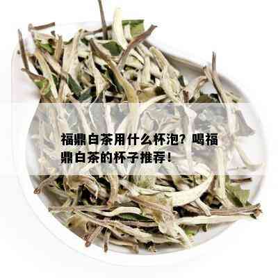 福鼎白茶用什么杯泡？喝福鼎白茶的杯子推荐！