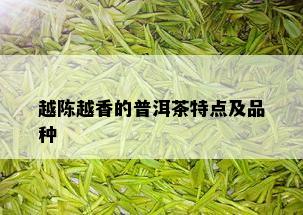 越陈越香的普洱茶特点及品种