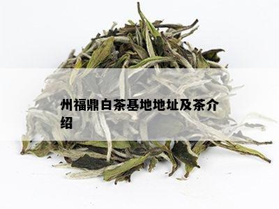 州福鼎白茶基地地址及茶介绍