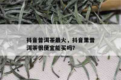 抖音普洱茶最火，抖音里普洱茶很便宜能买吗？