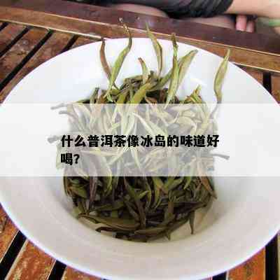 什么普洱茶像冰岛的味道好喝？