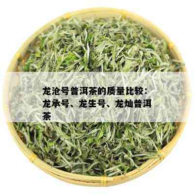 龙沧号普洱茶的质量比较：龙承号、龙生号、龙灿普洱茶