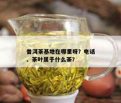 普洱茶基地在哪里呀？电话、茶叶属于什么茶？