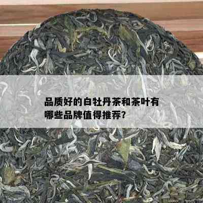 品质好的白牡丹茶和茶叶有哪些品牌值得推荐？