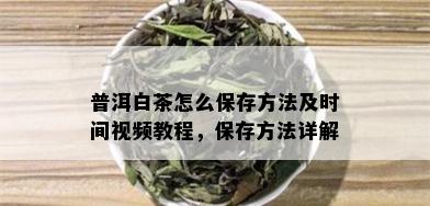 普洱白茶怎么保存方法及时间视频教程，保存方法详解