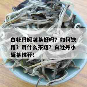 白牡丹罐装茶好吗？如何饮用？用什么茶罐？白牡丹小罐茶推荐！