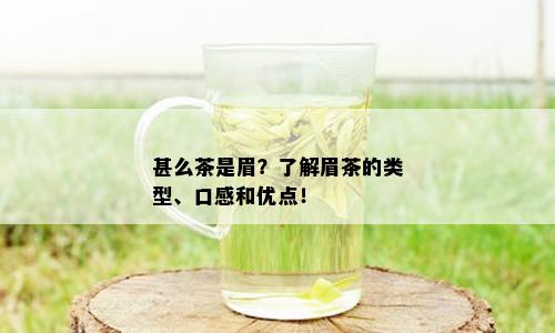 甚么茶是眉？了解眉茶的类型、口感和优点！