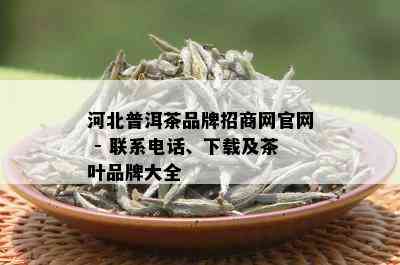 河北普洱茶品牌招商网官网 - 联系电话、下载及茶叶品牌大全