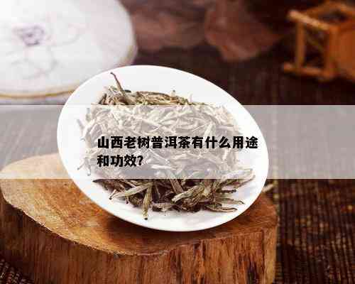 山西老树普洱茶有什么用途和功效？