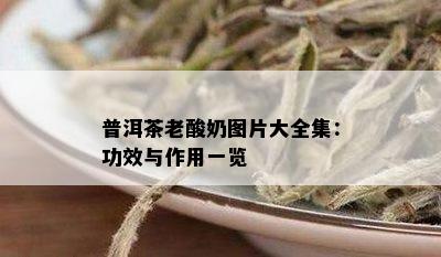 普洱茶老酸奶图片大全集：功效与作用一览