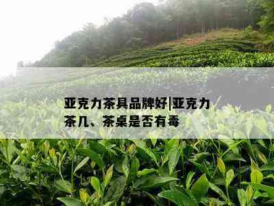 亚克力茶具品牌好|亚克力茶几、茶桌是否有