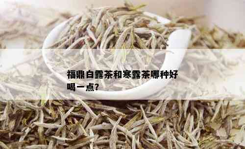 福鼎白露茶和寒露茶哪种好喝一点？