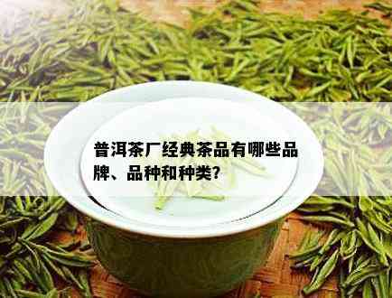 普洱茶厂经典茶品有哪些品牌、品种和种类？