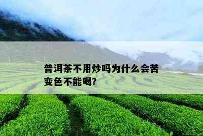 普洱茶不用炒吗为什么会苦变色不能喝？