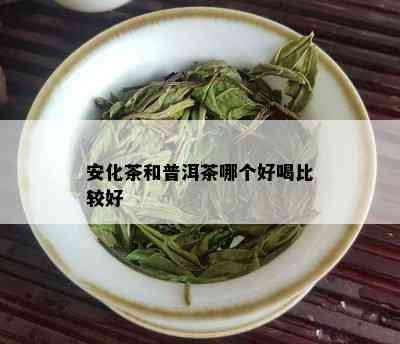 安化茶和普洱茶哪个好喝比较好