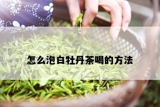 怎么泡白牡丹茶喝的方法