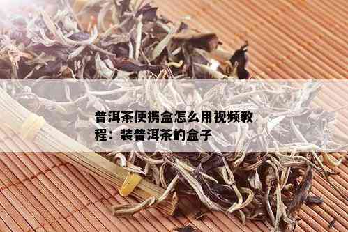 普洱茶便携盒怎么用视频教程：装普洱茶的盒子