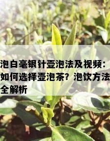 泡白毫银针壶泡法及视频：如何选择壶泡茶？泡饮方法全解析