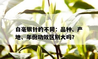 白毫银针的不同：品种、产地、年份功效区别大吗？