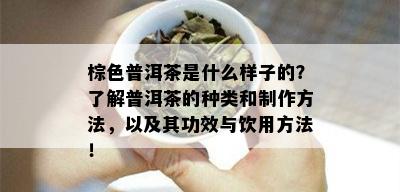 棕色普洱茶是什么样子的？了解普洱茶的种类和制作方法，以及其功效与饮用方法！