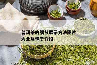 普洱茶的细节展示方法图片大全及样子介绍