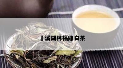 磻溪湖林福鼎白茶