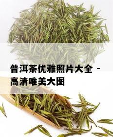 普洱茶优雅照片大全 - 高清唯美大图