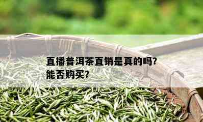 直播普洱茶直销是真的吗？能否购买？