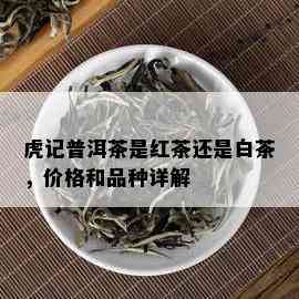 虎记普洱茶是红茶还是白茶，价格和品种详解