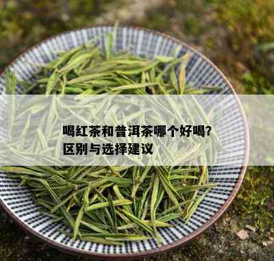 喝红茶和普洱茶哪个好喝？区别与选择建议