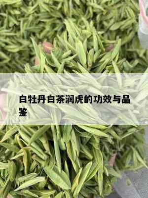 白牡丹白茶润虎的功效与品鉴