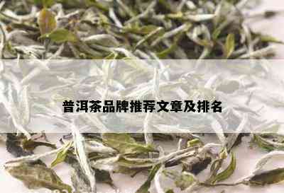 普洱茶品牌推荐文章及排名