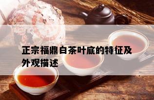 正宗福鼎白茶叶底的特征及外观描述