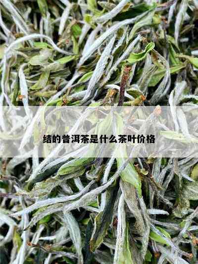 结的普洱茶是什么茶叶价格