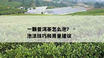 一颗普洱茶怎么泡？ - 泡法技巧和用量建议