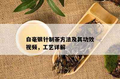 白毫银针制茶方法及其功效视频，工艺详解