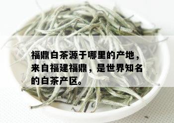 福鼎白茶源于哪里的产地，来自福建福鼎，是世界知名的白茶产区。