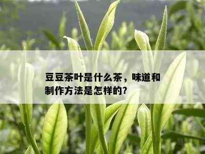 豆豆茶叶是什么茶，味道和制作方法是怎样的？