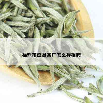 福鼎市盛昌茶厂怎么样招聘