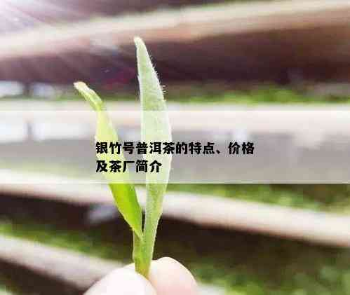 银竹号普洱茶的特点、价格及茶厂简介