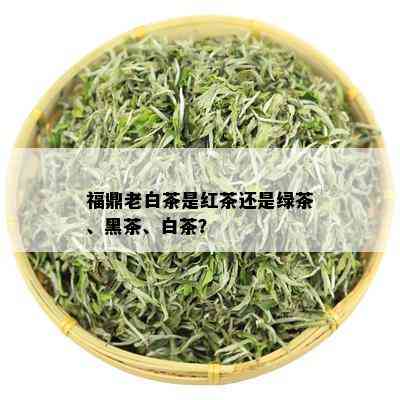 福鼎老白茶是红茶还是绿茶、黑茶、白茶？