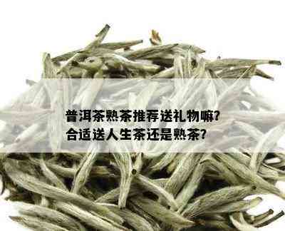 普洱茶熟茶推荐送礼物嘛？合适送人生茶还是熟茶？