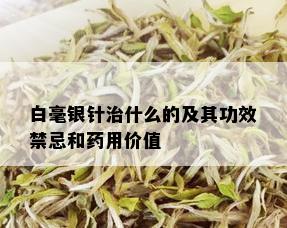 白毫银针治什么的及其功效禁忌和用价值