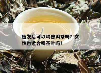 植发后可以喝普洱茶吗？女性也适合喝茶叶吗？