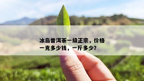 冰岛普洱茶一级正宗，价格一克多少钱，一斤多少？