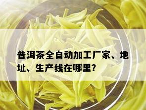 普洱茶全自动加工厂家、地址、生产线在哪里？