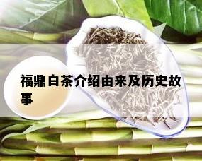 福鼎白茶介绍由来及历史故事