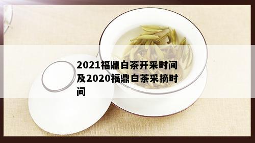 2021福鼎白茶开采时间及2020福鼎白茶采摘时间